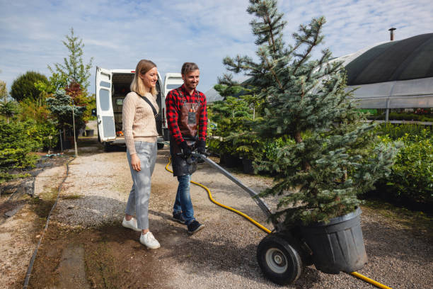 Best Affordable Tree Service  in Fords Prairie, WA